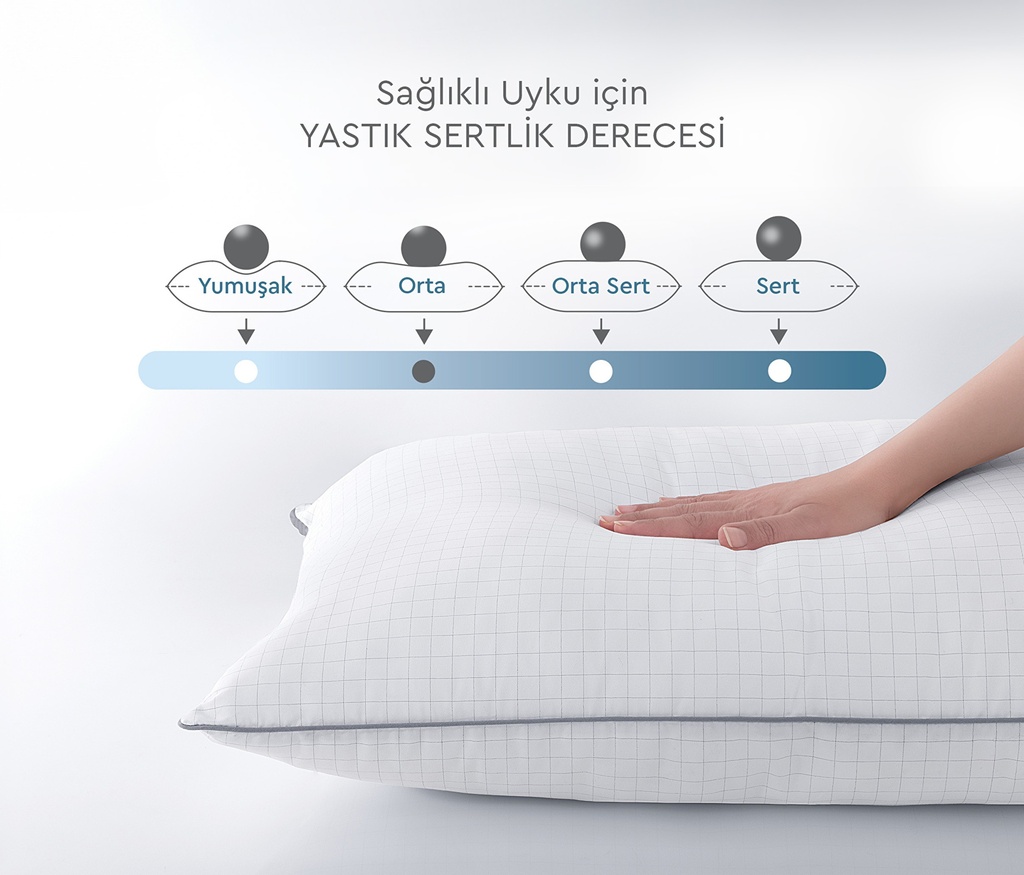 1556433_d_image_tr_4.jpg