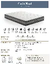 Cool&Wool.webp