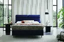 BARTE_BAZA_BASLIK_02.webp