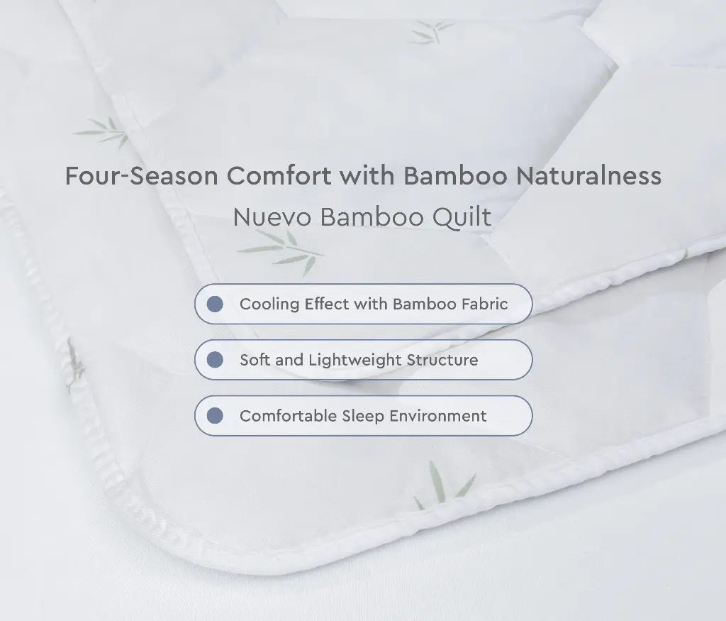 Bambus Nuevo Pilota2.webp