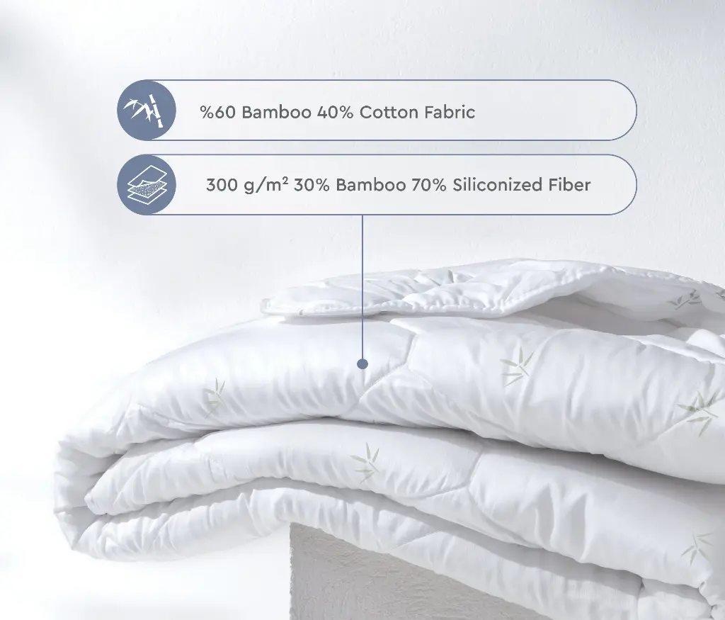 Bambus Nuevo Pilota5.webp