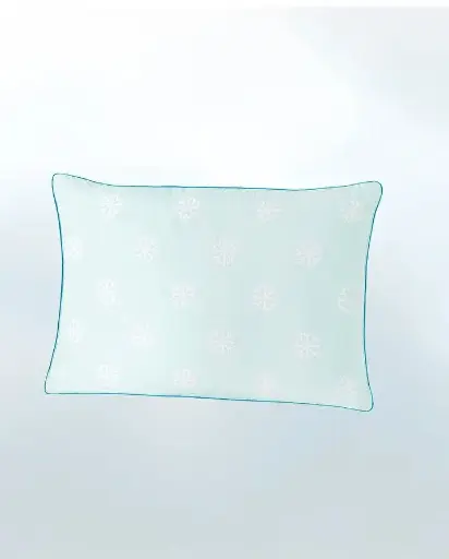 [50502000000467] PERNA - DACRON CLIMARELLE COOL 50X70 (750 G)